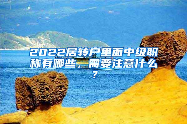 2022居转户里面中级职称有哪些，需要注意什么？