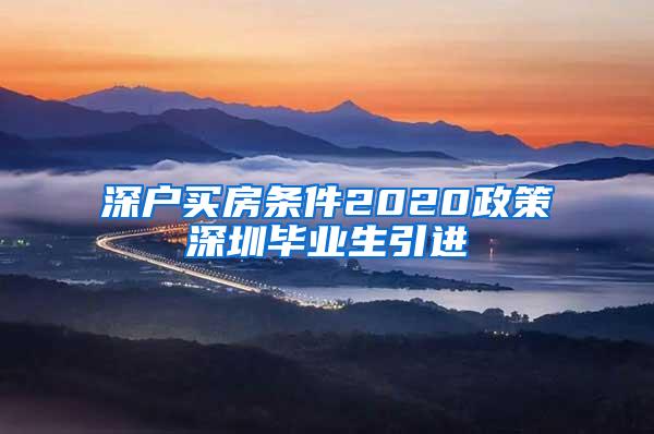 深户买房条件2020政策深圳毕业生引进