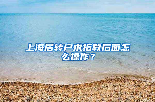 上海居转户求指教后面怎么操作？