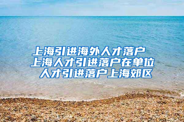 上海引进海外人才落户 上海人才引进落户在单位 人才引进落户上海郊区