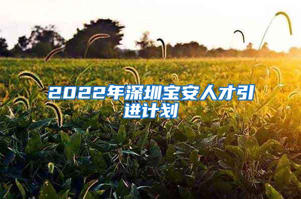 2022年深圳宝安人才引进计划