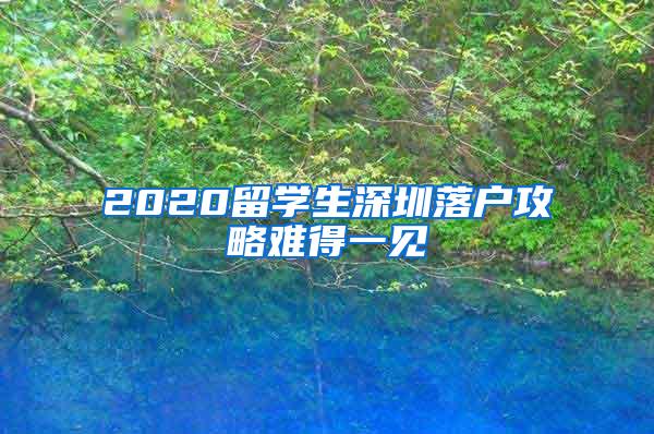 2020留学生深圳落户攻略难得一见