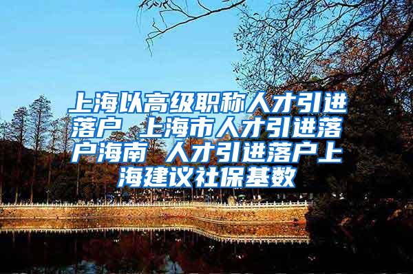 上海以高级职称人才引进落户 上海市人才引进落户海南 人才引进落户上海建议社保基数