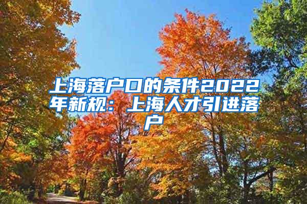 上海落户口的条件2022年新规：上海人才引进落户