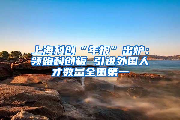 上海科创“年报”出炉：领跑科创板 引进外国人才数量全国第一