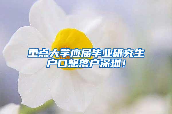 重点大学应届毕业研究生户口想落户深圳！