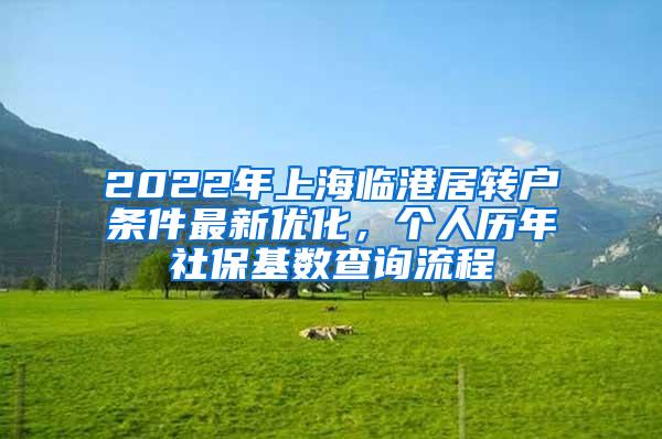 2022年上海临港居转户条件最新优化，个人历年社保基数查询流程