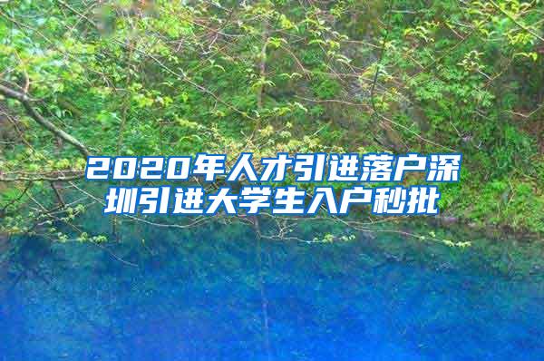 2020年人才引进落户深圳引进大学生入户秒批