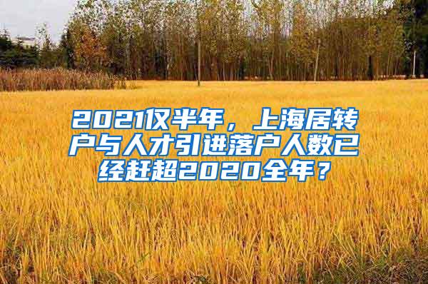 2021仅半年，上海居转户与人才引进落户人数已经赶超2020全年？