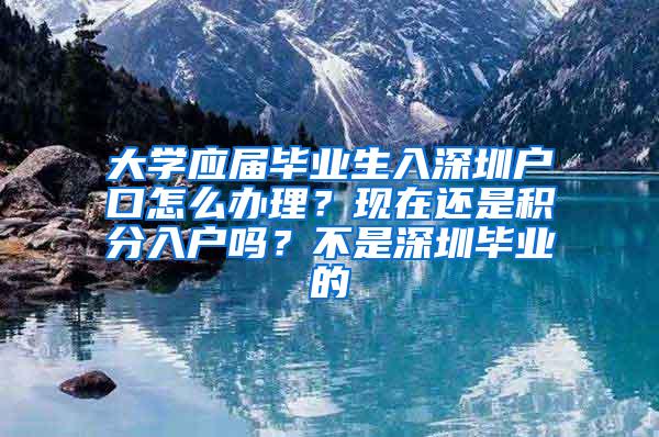 大学应届毕业生入深圳户口怎么办理？现在还是积分入户吗？不是深圳毕业的