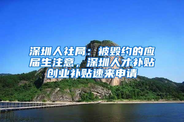 深圳人社局：被毁约的应届生注意，深圳人才补贴创业补贴速来申请