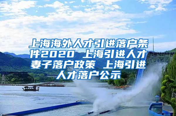 上海海外人才引进落户条件2020 上海引进人才妻子落户政策 上海引进人才落户公示