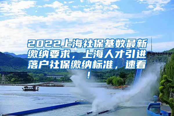 2022上海社保基数最新缴纳要求，上海人才引进落户社保缴纳标准，速看！