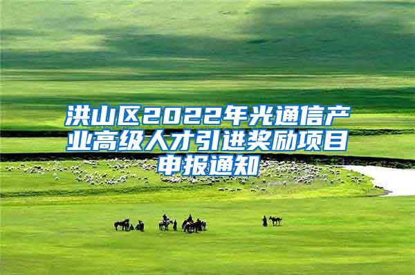 洪山区2022年光通信产业高级人才引进奖励项目申报通知