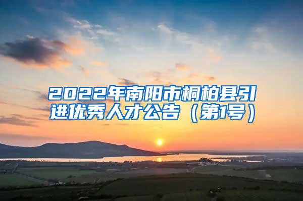 2022年南阳市桐柏县引进优秀人才公告（第1号）