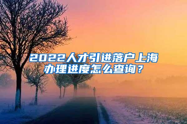 2022人才引进落户上海办理进度怎么查询？