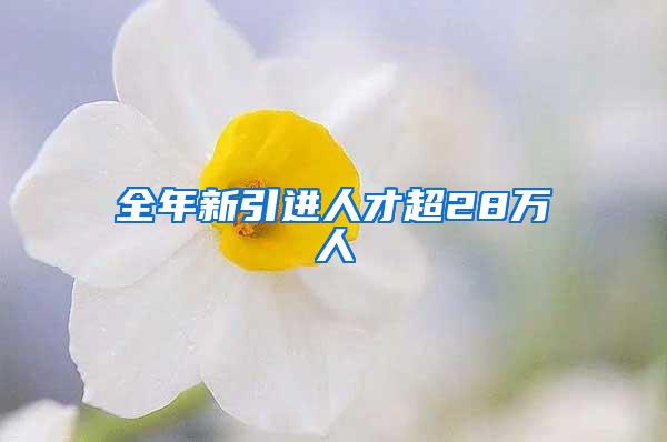 全年新引进人才超28万人