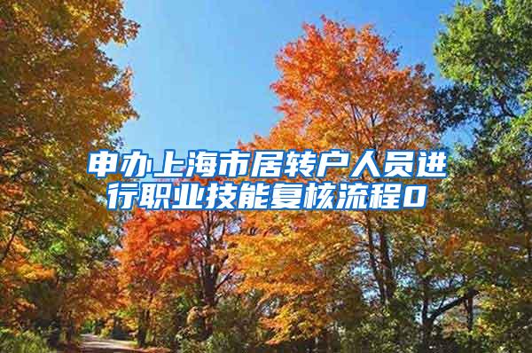 申办上海市居转户人员进行职业技能复核流程0