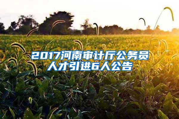 2017河南审计厅公务员人才引进6人公告