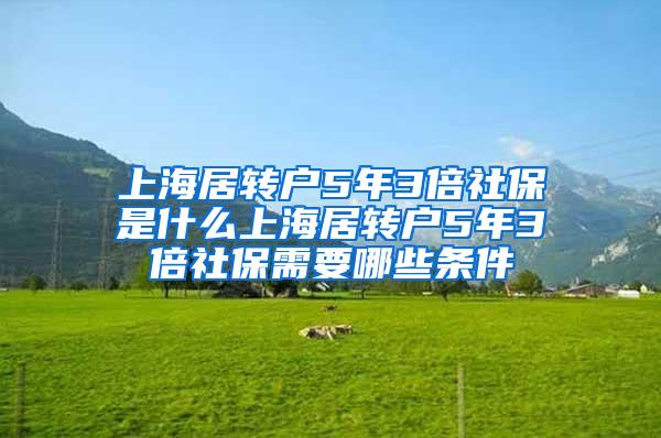 上海居转户5年3倍社保是什么上海居转户5年3倍社保需要哪些条件