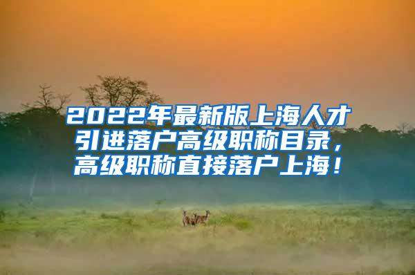 2022年最新版上海人才引进落户高级职称目录，高级职称直接落户上海！