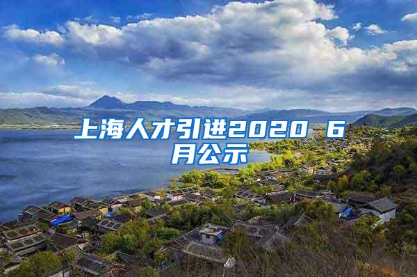 上海人才引进2020 6月公示