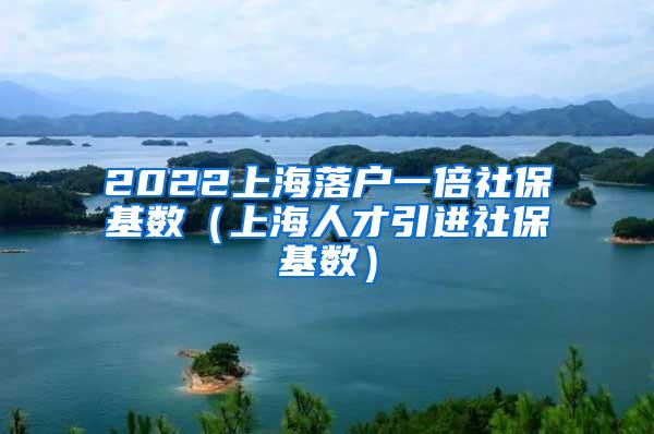 2022上海落户一倍社保基数（上海人才引进社保基数）