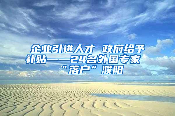 企业引进人才 政府给予补贴——24名外国专家“落户”濮阳