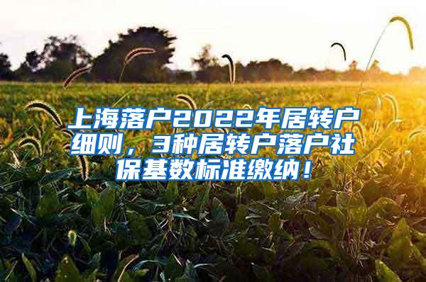 上海落户2022年居转户细则，3种居转户落户社保基数标准缴纳！