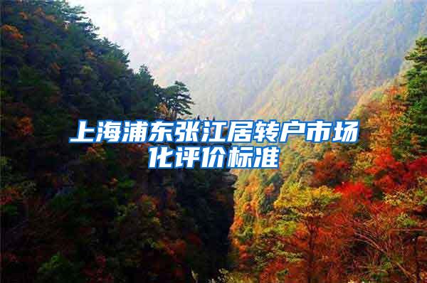 上海浦东张江居转户市场化评价标准