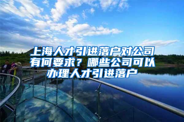 上海人才引进落户对公司有何要求？哪些公司可以办理人才引进落户