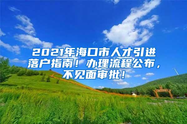 2021年海口市人才引进落户指南！办理流程公布，不见面审批！