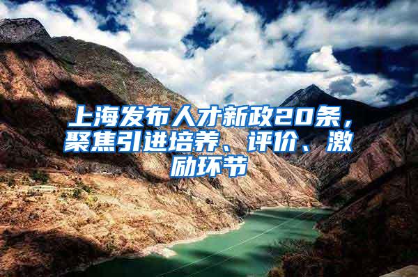 上海发布人才新政20条，聚焦引进培养、评价、激励环节