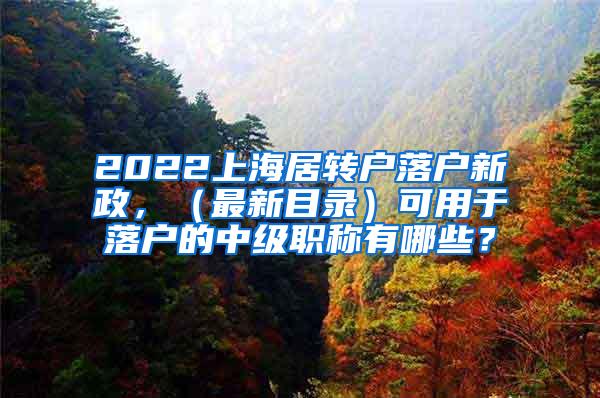 2022上海居转户落户新政，（最新目录）可用于落户的中级职称有哪些？