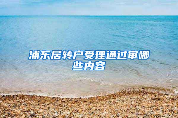 浦东居转户受理通过审哪些内容