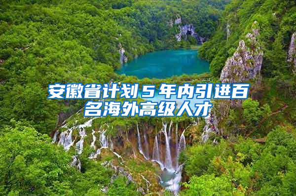 安徽省计划５年内引进百名海外高级人才