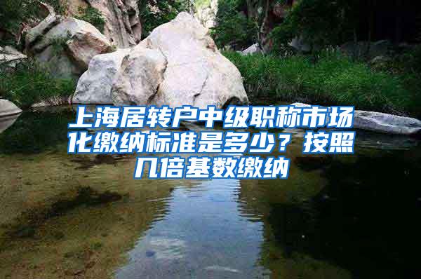 上海居转户中级职称市场化缴纳标准是多少？按照几倍基数缴纳