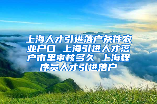 上海人才引进落户条件农业户口 上海引进人才落户市里审核多久 上海程序员人才引进落户