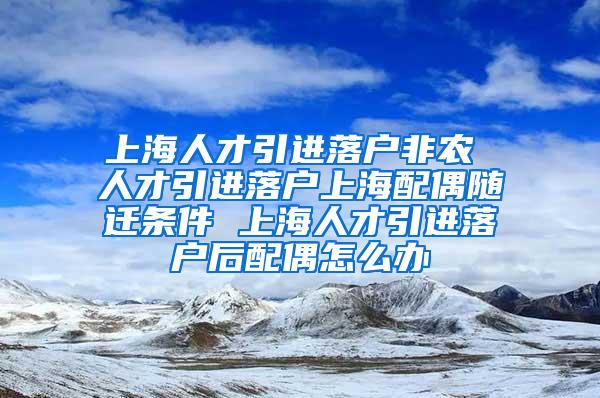 上海人才引进落户非农 人才引进落户上海配偶随迁条件 上海人才引进落户后配偶怎么办