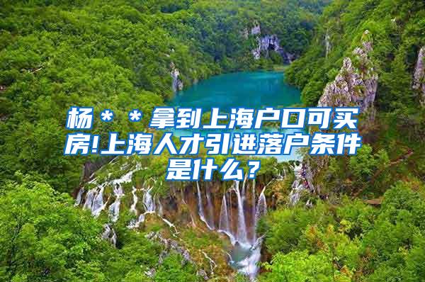 杨＊＊拿到上海户口可买房!上海人才引进落户条件是什么？