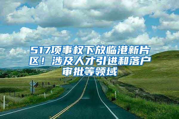 517项事权下放临港新片区！涉及人才引进和落户审批等领域