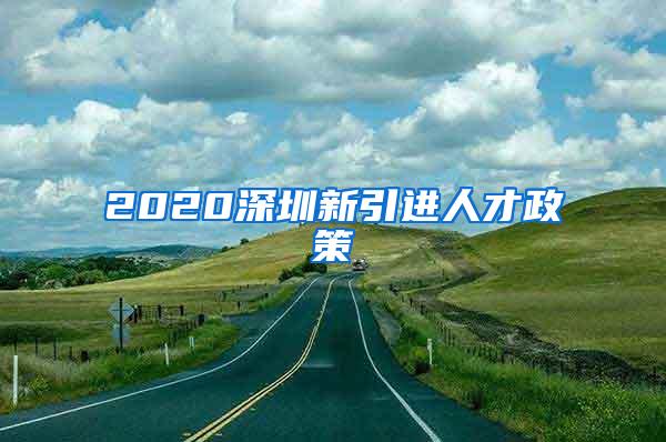 2020深圳新引进人才政策