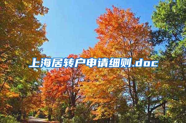 上海居转户申请细则.doc