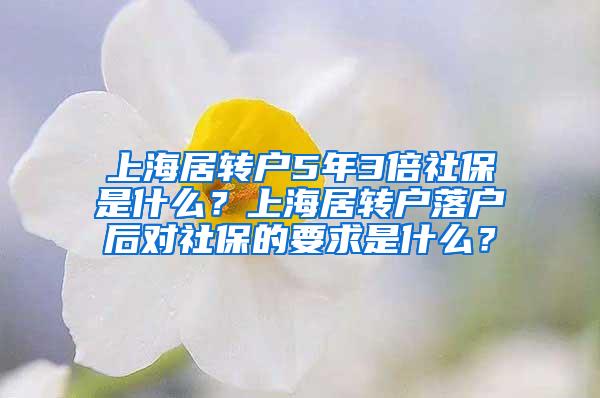 上海居转户5年3倍社保是什么？上海居转户落户后对社保的要求是什么？