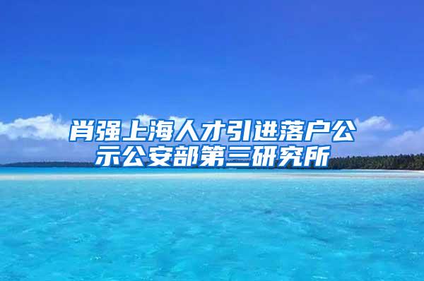 肖强上海人才引进落户公示公安部第三研究所