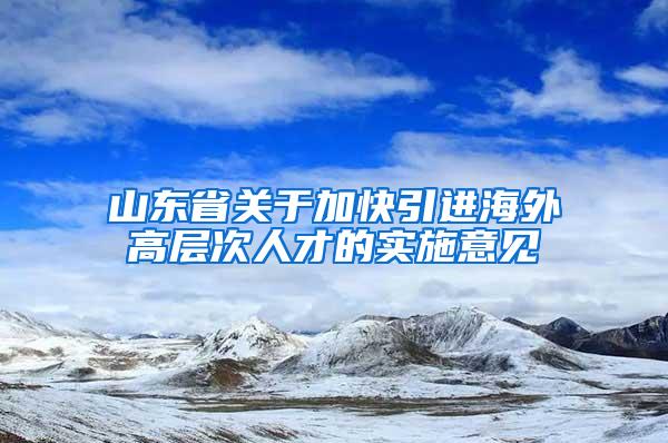 山东省关于加快引进海外高层次人才的实施意见