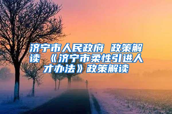 济宁市人民政府 政策解读 《济宁市柔性引进人才办法》政策解读