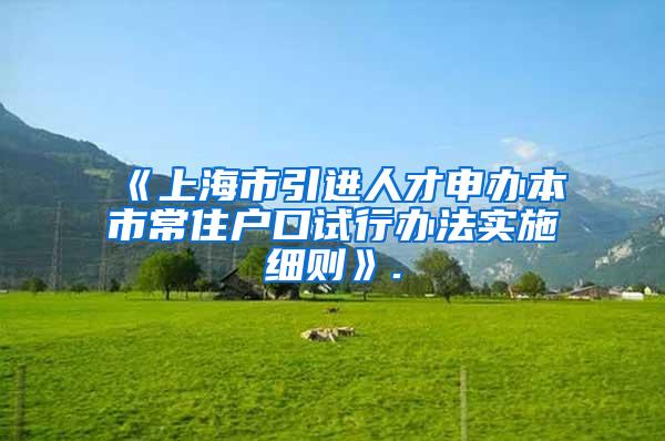《上海市引进人才申办本市常住户口试行办法实施细则》.