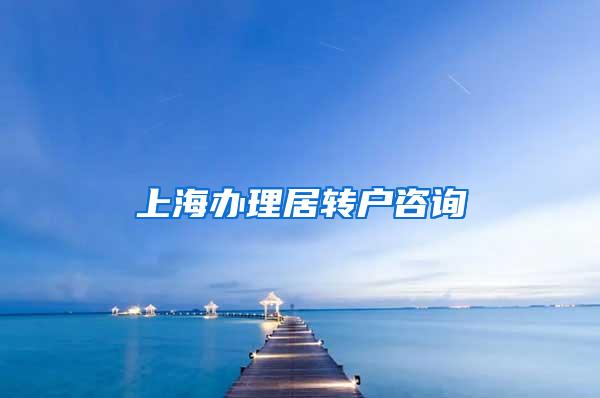 上海办理居转户咨询