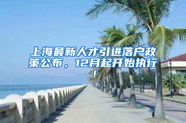 上海最新人才引进落户政策公布，12月起开始执行！